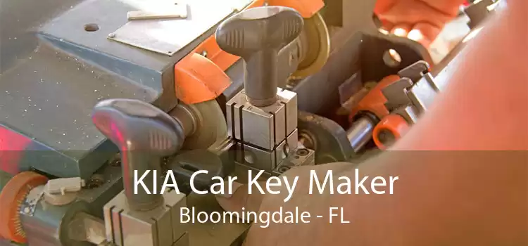 KIA Car Key Maker Bloomingdale - FL