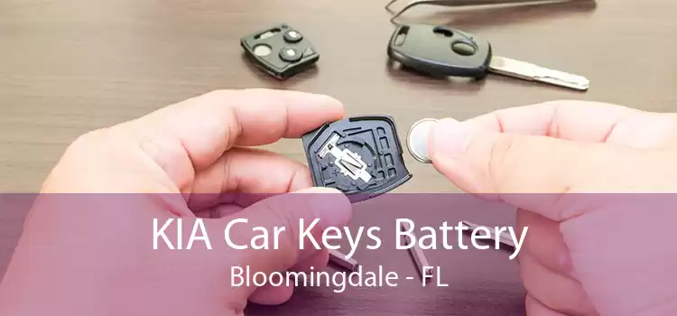 KIA Car Keys Battery Bloomingdale - FL