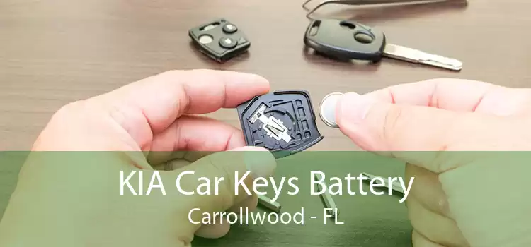 KIA Car Keys Battery Carrollwood - FL