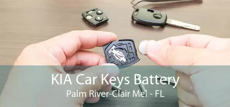 KIA Car Keys Battery Palm River-Clair Mel - FL