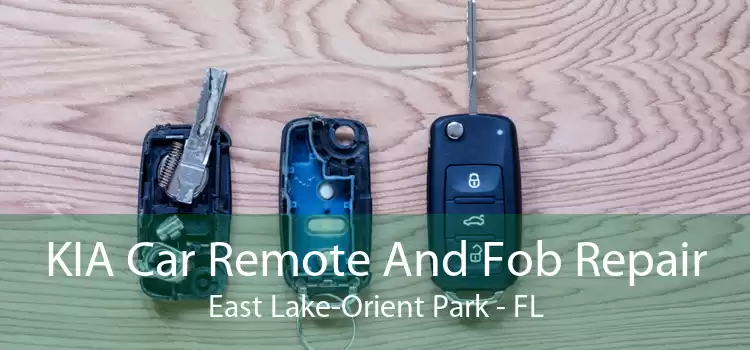 KIA Car Remote And Fob Repair East Lake-Orient Park - FL