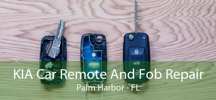 KIA Car Remote And Fob Repair Palm Harbor - FL
