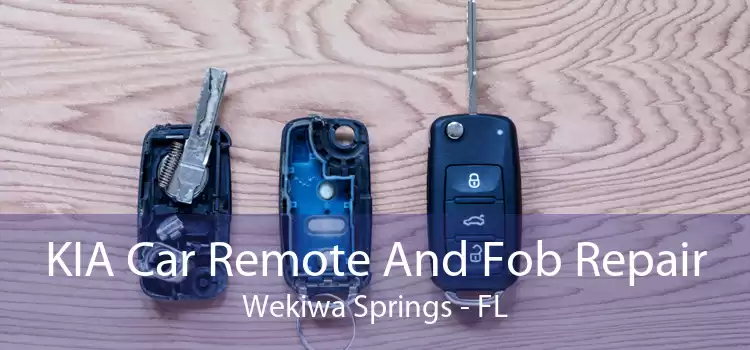 KIA Car Remote And Fob Repair Wekiwa Springs - FL