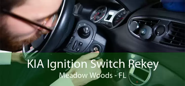 KIA Ignition Switch Rekey Meadow Woods - FL