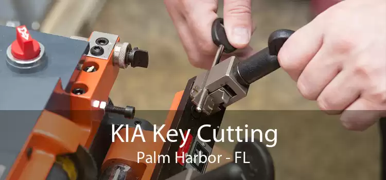 KIA Key Cutting Palm Harbor - FL