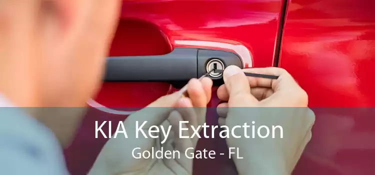 KIA Key Extraction Golden Gate - FL