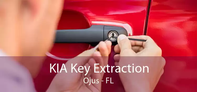 KIA Key Extraction Ojus - FL