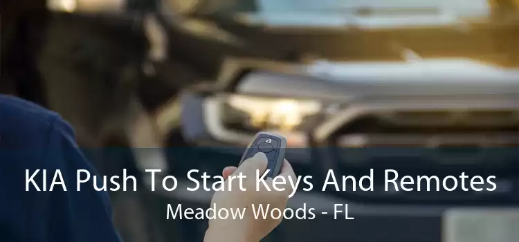 KIA Push To Start Keys And Remotes Meadow Woods - FL