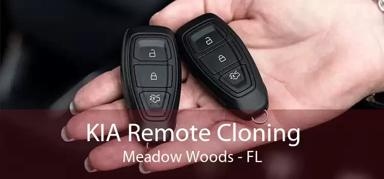KIA Remote Cloning Meadow Woods - FL