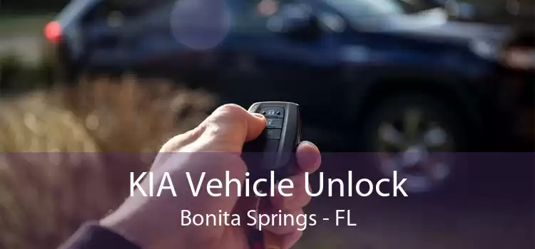 KIA Vehicle Unlock Bonita Springs - FL