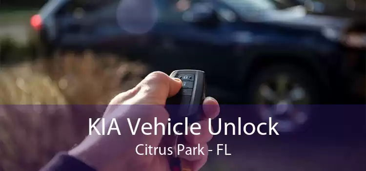 KIA Vehicle Unlock Citrus Park - FL
