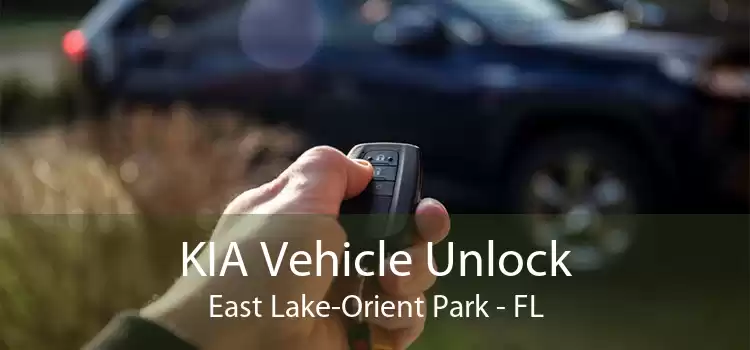 KIA Vehicle Unlock East Lake-Orient Park - FL