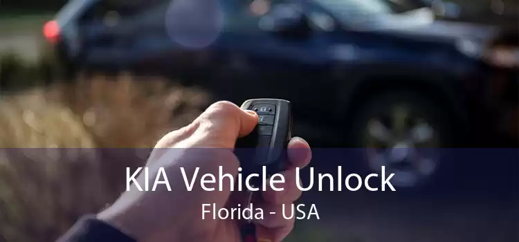 KIA Vehicle Unlock Florida - USA