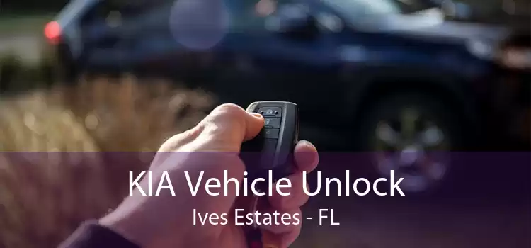 KIA Vehicle Unlock Ives Estates - FL