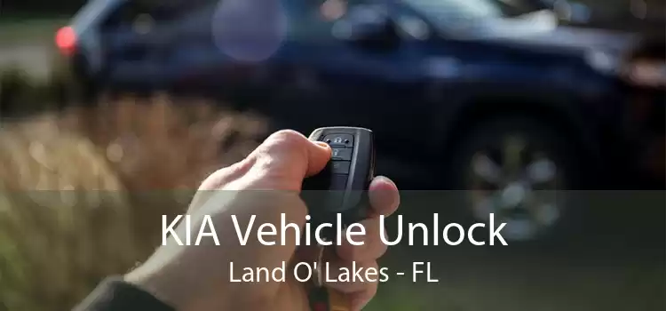 KIA Vehicle Unlock Land O' Lakes - FL