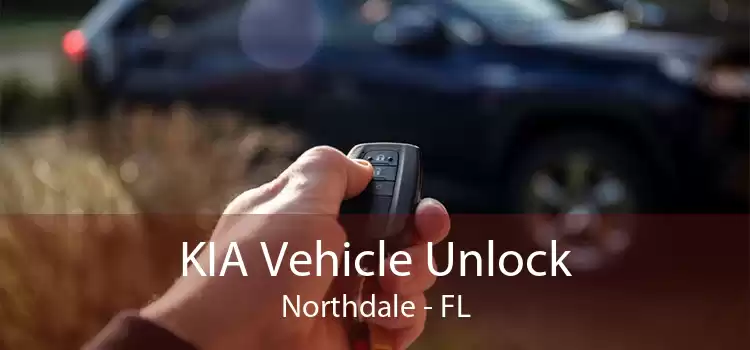 KIA Vehicle Unlock Northdale - FL