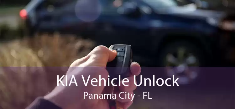 KIA Vehicle Unlock Panama City - FL