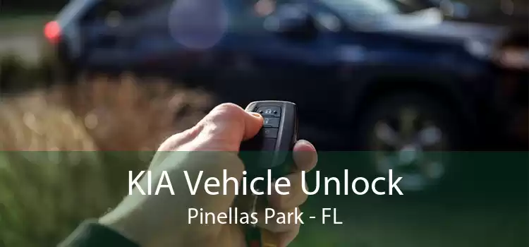 KIA Vehicle Unlock Pinellas Park - FL