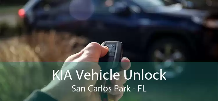 KIA Vehicle Unlock San Carlos Park - FL