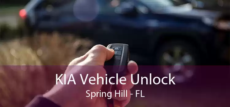 KIA Vehicle Unlock Spring Hill - FL
