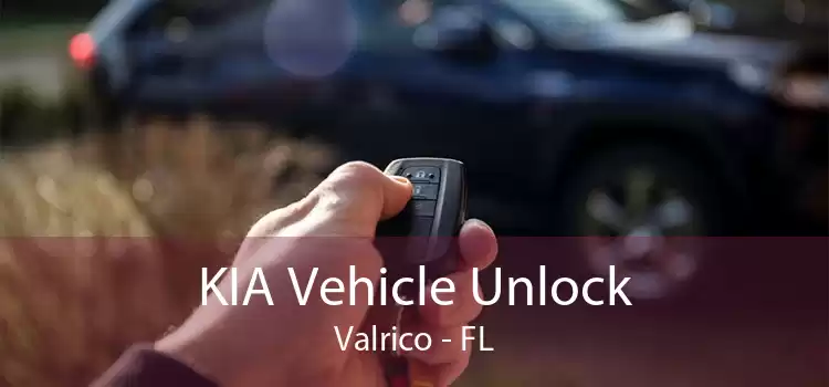 KIA Vehicle Unlock Valrico - FL