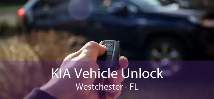 KIA Vehicle Unlock Westchester - FL