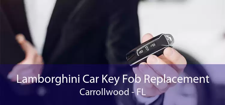Lamborghini Car Key Fob Replacement Carrollwood - FL
