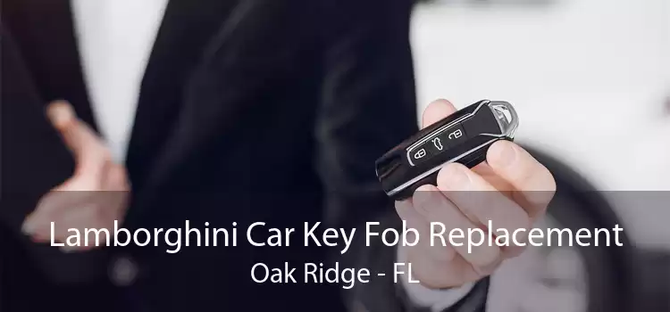 Lamborghini Car Key Fob Replacement Oak Ridge - FL