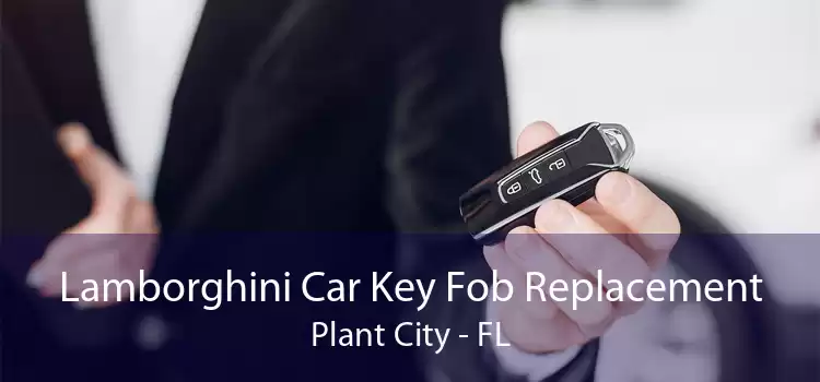Lamborghini Car Key Fob Replacement Plant City - FL