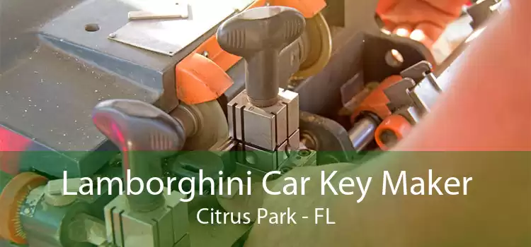 Lamborghini Car Key Maker Citrus Park - FL