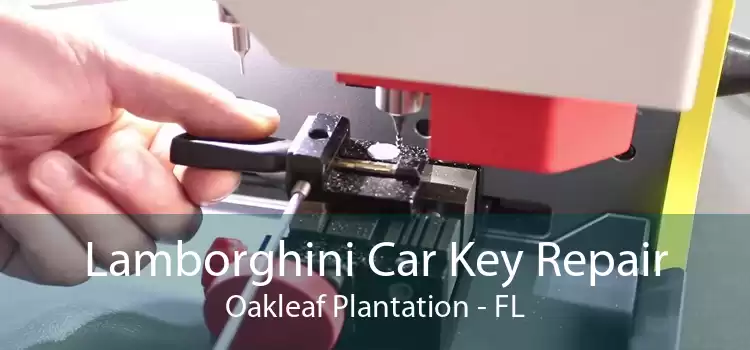 Lamborghini Car Key Repair Oakleaf Plantation - FL