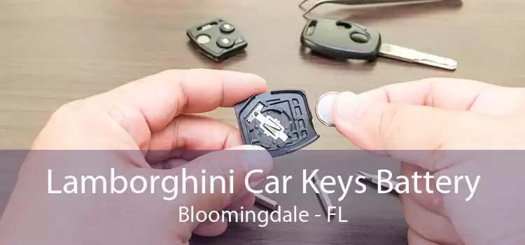 Lamborghini Car Keys Battery Bloomingdale - FL