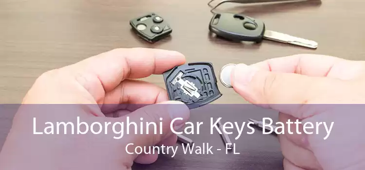 Lamborghini Car Keys Battery Country Walk - FL
