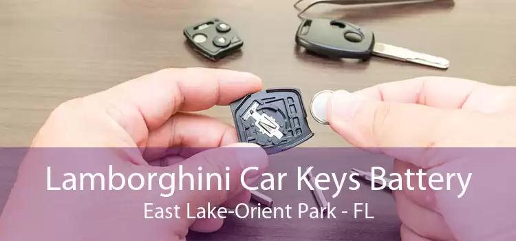 Lamborghini Car Keys Battery East Lake-Orient Park - FL