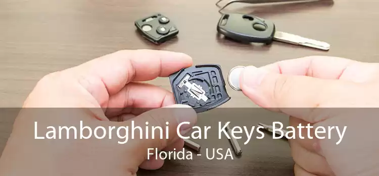 Lamborghini Car Keys Battery Florida - USA