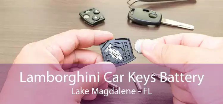 Lamborghini Car Keys Battery Lake Magdalene - FL