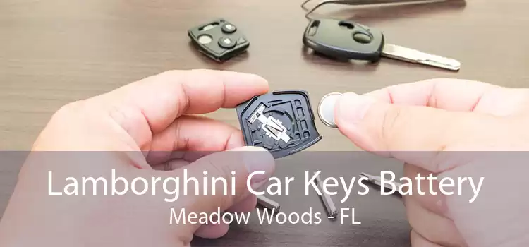 Lamborghini Car Keys Battery Meadow Woods - FL