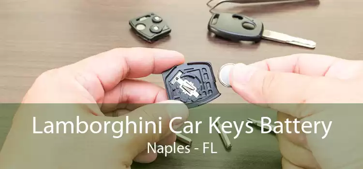 Lamborghini Car Keys Battery Naples - FL