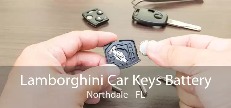 Lamborghini Car Keys Battery Northdale - FL