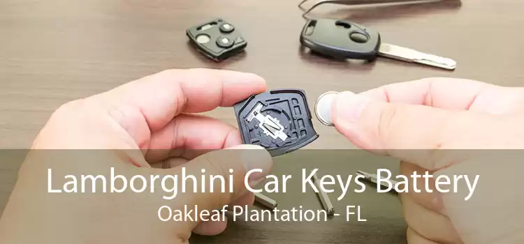 Lamborghini Car Keys Battery Oakleaf Plantation - FL