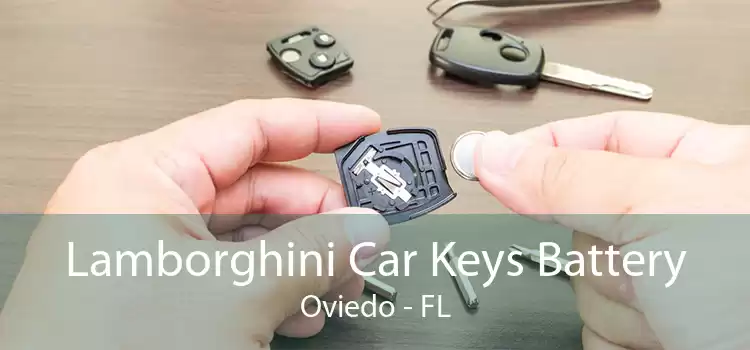 Lamborghini Car Keys Battery Oviedo - FL