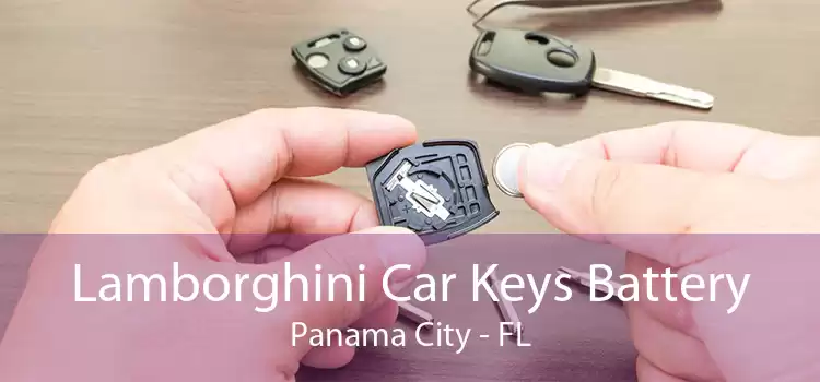 Lamborghini Car Keys Battery Panama City - FL