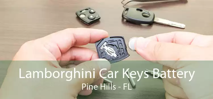 Lamborghini Car Keys Battery Pine Hills - FL
