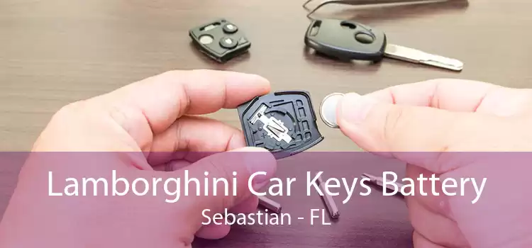 Lamborghini Car Keys Battery Sebastian - FL