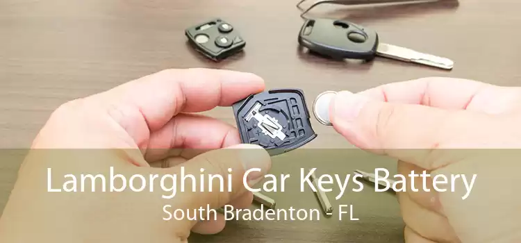 Lamborghini Car Keys Battery South Bradenton - FL