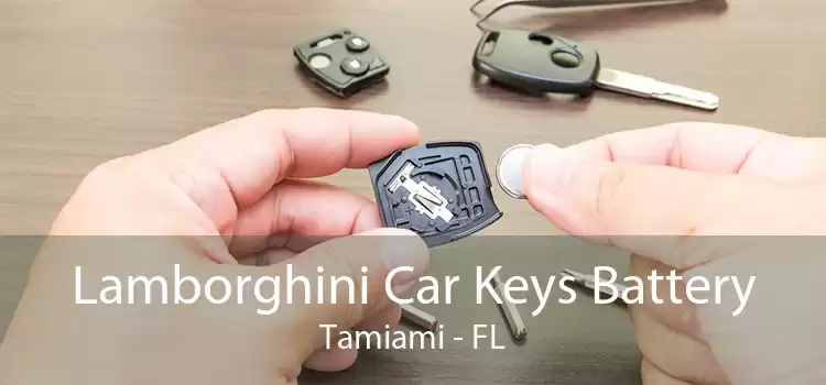 Lamborghini Car Keys Battery Tamiami - FL