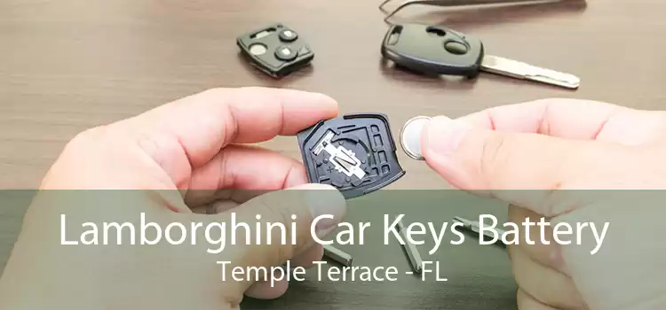 Lamborghini Car Keys Battery Temple Terrace - FL