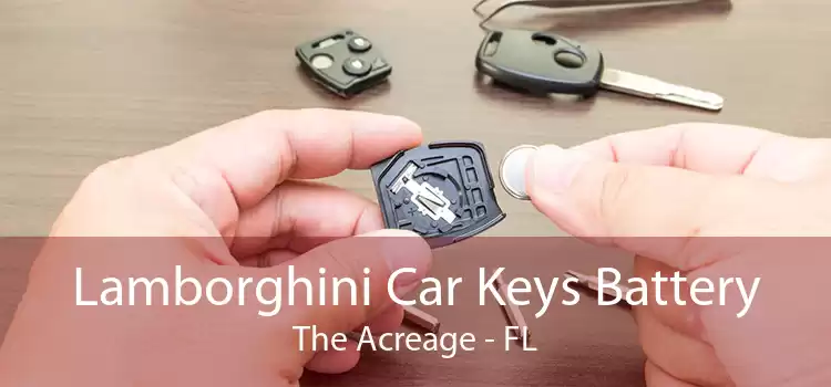 Lamborghini Car Keys Battery The Acreage - FL