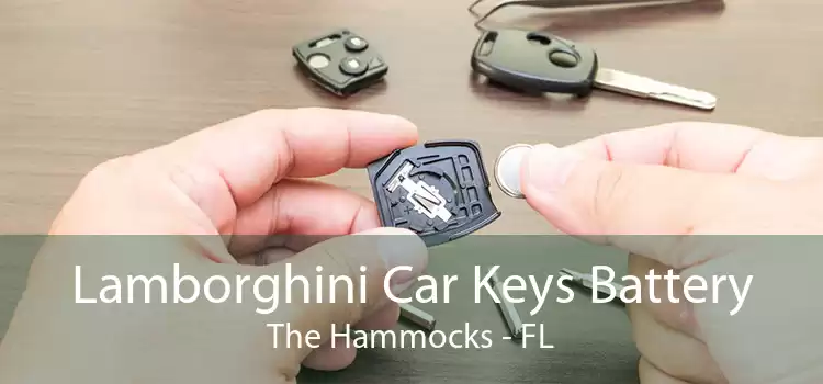 Lamborghini Car Keys Battery The Hammocks - FL