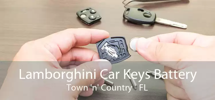 Lamborghini Car Keys Battery Town 'n' Country - FL